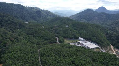 Ipoh, Malezya 'nın Gaharu Çay Vadisi