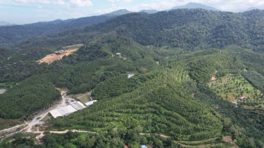 Ipoh, Malezya 'nın Gaharu Çay Vadisi