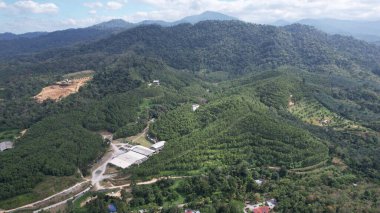 Ipoh, Malezya 'nın Gaharu Çay Vadisi