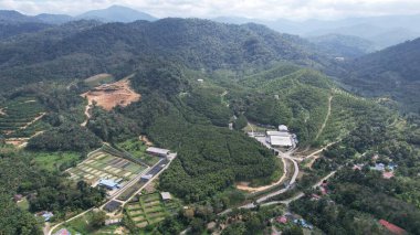Ipoh, Malezya 'nın Gaharu Çay Vadisi