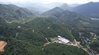 Ipoh, Malezya 'nın Gaharu Çay Vadisi