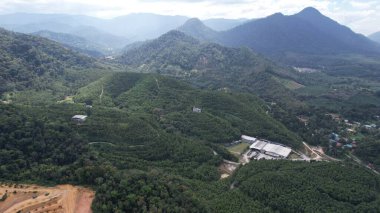 Ipoh, Malezya 'nın Gaharu Çay Vadisi