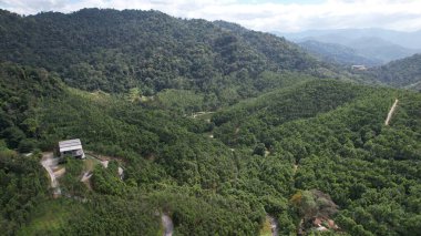 Ipoh, Malezya 'nın Gaharu Çay Vadisi