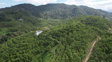 Ipoh, Malezya 'nın Gaharu Çay Vadisi