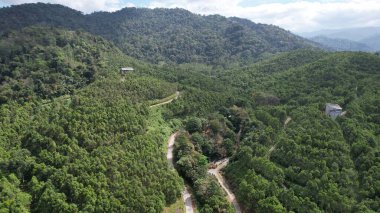 Ipoh, Malezya 'nın Gaharu Çay Vadisi