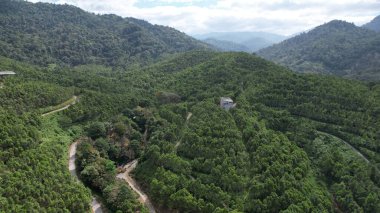 Ipoh, Malezya 'nın Gaharu Çay Vadisi