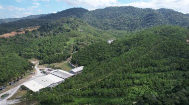 Ipoh, Malezya 'nın Gaharu Çay Vadisi