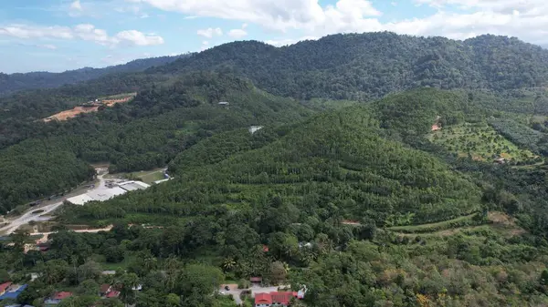 Ipoh, Malezya 'nın Gaharu Çay Vadisi