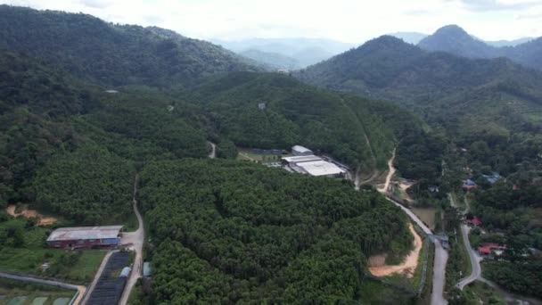 Gaharu Tea Valley Ipoh Malaysia — Stock Video