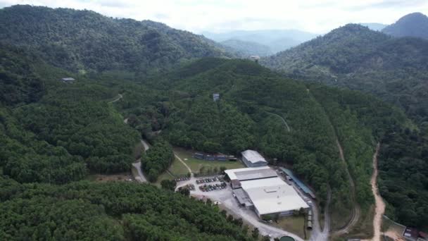 马来西亚Ipoh的Gaharu茶谷 — 图库视频影像
