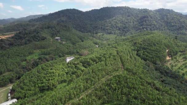 Gaharu Tea Valley Ipoh Malaysia — Stockvideo