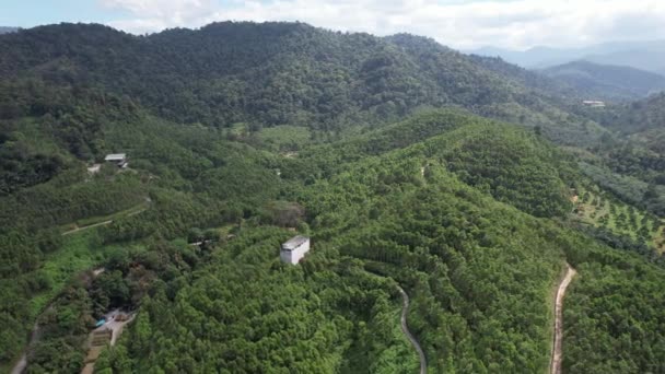 Lembah Teh Gaharu Ipoh Malaysia — Stok Video