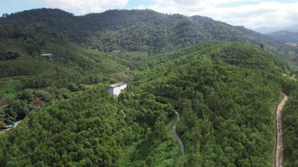 Чайная Долина Гахару Ипохе Малайзия — стоковое видео