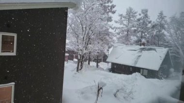 Hokkaido 'da Pencereden Bir Kış