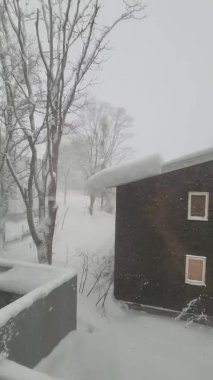 Hokkaido 'da Pencereden Bir Kış