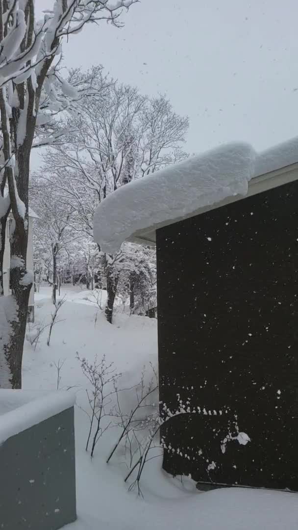 Winter Hokkaido Window – Stock-video