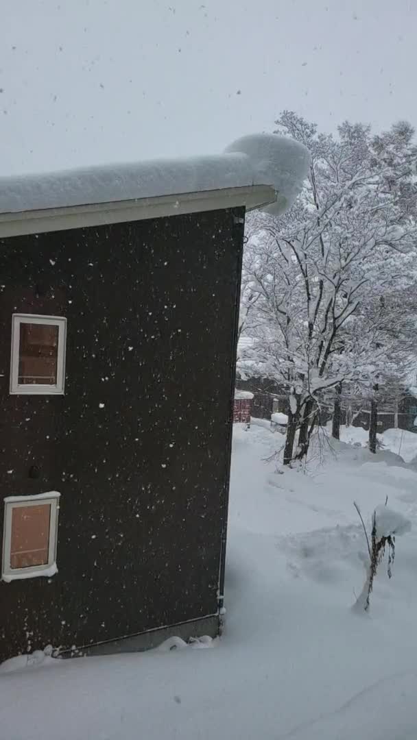 Winter Hokkaido Window — стокове відео
