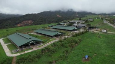 Kundasang, Malezya - 28 Mayıs 2024: Desa Süt Hayvanı Çiftliği Hava Görüntüsü