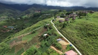 Kundasang, Malezya - 28 Mayıs 2024: Sosodikon Tepesi Kundasang Sabah Hava Görüntüsü