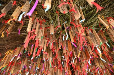 Kundasang, Malezya - 28 Mayıs 2024: Desa Süt Hayvanı Çiftliği Hava Görüntüsü