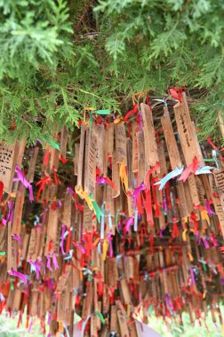 Kundasang, Malezya - 28 Mayıs 2024: Desa Süt Hayvanı Çiftliği Hava Görüntüsü