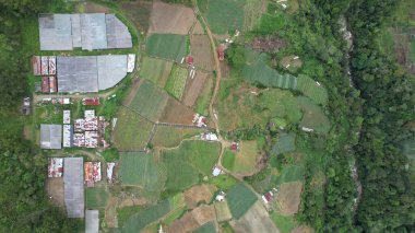 Kundasang, Malezya - 28 Mayıs 2024: Kundasang Kasabasının Hava Görüntüsü