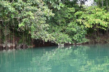 Bau, Malezya - 10 Haziran 2024: Bau Kasabasındaki Mavi Göl Tasik Biru Roxy Tatil Köyü