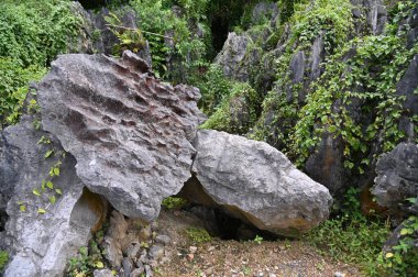 Bau, Malezya - 10 Haziran 2024: Borneo Sarawak Malezya 'nın Paku Rock Maze Bahçesi
