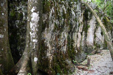 Bau, Malezya - 10 Haziran 2024: Borneo Sarawak Malezya 'nın Paku Rock Maze Bahçesi