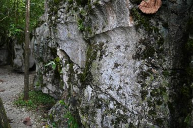 Bau, Malezya - 10 Haziran 2024: Borneo Sarawak Malezya 'nın Paku Rock Maze Bahçesi