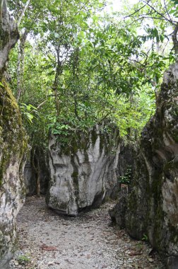 Bau, Malezya - 10 Haziran 2024: Borneo Sarawak Malezya 'nın Paku Rock Maze Bahçesi