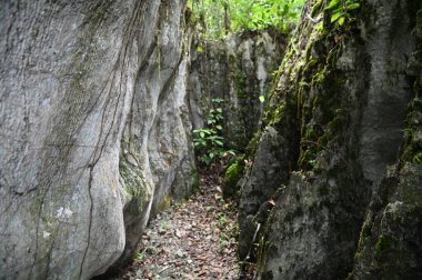 Bau, Malezya - 10 Haziran 2024: Borneo Sarawak Malezya 'nın Paku Rock Maze Bahçesi