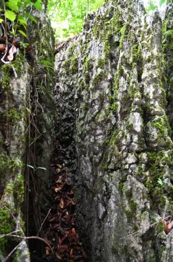 Bau, Malezya - 10 Haziran 2024: Borneo Sarawak Malezya 'nın Paku Rock Maze Bahçesi