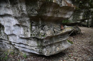 Bau, Malezya - 10 Haziran 2024: Borneo Sarawak Malezya 'nın Paku Rock Maze Bahçesi