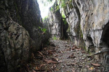 Bau, Malezya - 10 Haziran 2024: Borneo Sarawak Malezya 'nın Paku Rock Maze Bahçesi