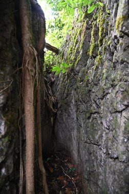 Bau, Malezya - 10 Haziran 2024: Borneo Sarawak Malezya 'nın Paku Rock Maze Bahçesi