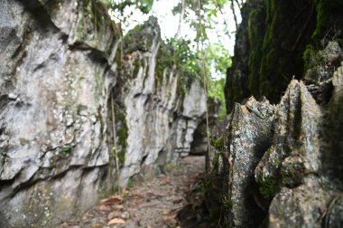 Bau, Malezya - 10 Haziran 2024: Borneo Sarawak Malezya 'nın Paku Rock Maze Bahçesi