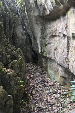 Bau, Malezya - 10 Haziran 2024: Borneo Sarawak Malezya 'nın Paku Rock Maze Bahçesi