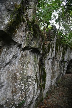 Bau, Malezya - 10 Haziran 2024: Borneo Sarawak Malezya 'nın Paku Rock Maze Bahçesi