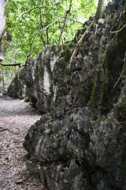 Bau, Malezya - 10 Haziran 2024: Borneo Sarawak Malezya 'nın Paku Rock Maze Bahçesi