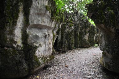 Bau, Malezya - 10 Haziran 2024: Borneo Sarawak Malezya 'nın Paku Rock Maze Bahçesi