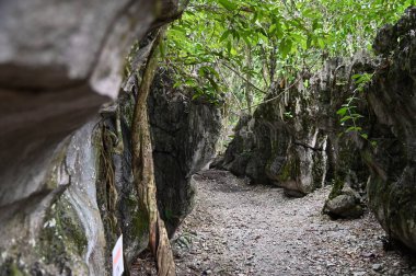 Bau, Malezya - 10 Haziran 2024: Borneo Sarawak Malezya 'nın Paku Rock Maze Bahçesi