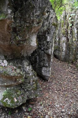 Bau, Malezya - 10 Haziran 2024: Borneo Sarawak Malezya 'nın Paku Rock Maze Bahçesi