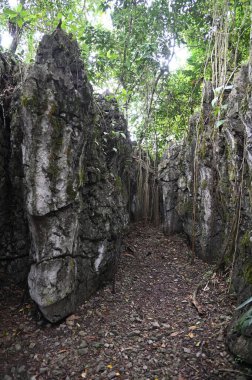 Bau, Malezya - 10 Haziran 2024: Borneo Sarawak Malezya 'nın Paku Rock Maze Bahçesi