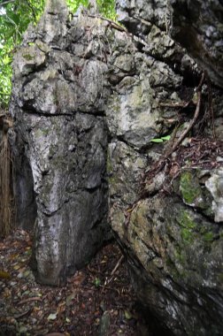 Bau, Malezya - 10 Haziran 2024: Borneo Sarawak Malezya 'nın Paku Rock Maze Bahçesi