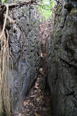 Bau, Malezya - 10 Haziran 2024: Borneo Sarawak Malezya 'nın Paku Rock Maze Bahçesi