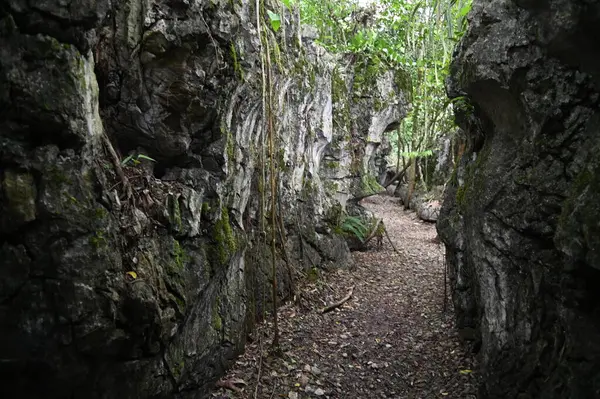 Bau, Malezya - 10 Haziran 2024: Borneo Sarawak Malezya 'nın Paku Rock Maze Bahçesi
