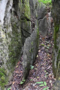 Bau, Malezya - 10 Haziran 2024: Borneo Sarawak Malezya 'nın Paku Rock Maze Bahçesi