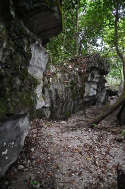 Bau, Malezya - 10 Haziran 2024: Borneo Sarawak Malezya 'nın Paku Rock Maze Bahçesi