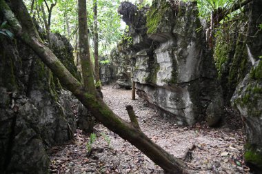 Bau, Malezya - 10 Haziran 2024: Borneo Sarawak Malezya 'nın Paku Rock Maze Bahçesi